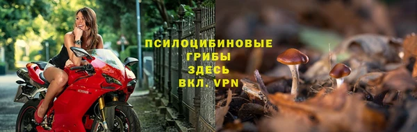 крисы Армянск