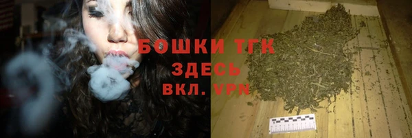 крисы Армянск