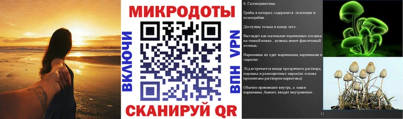МЕГА вход  продажа наркотиков  Свирск  Псилоцибиновые грибы Magic Shrooms 